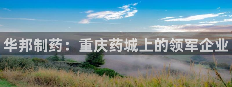 usdt九游会老哥俱乐部：华邦制药：重庆药城上的领军企业