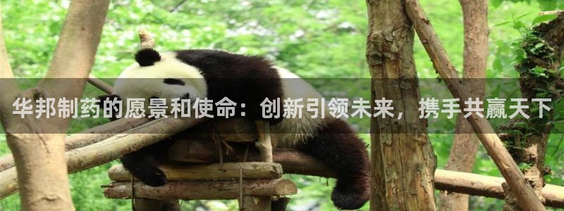 九游老哥俱乐部官网登录入口：华邦制药的愿景和使命：创新引领未来，携手共赢天下