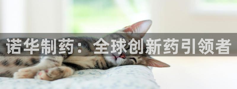 ag九游会老哥俱乐部：诺华制药：全球创新药引领者