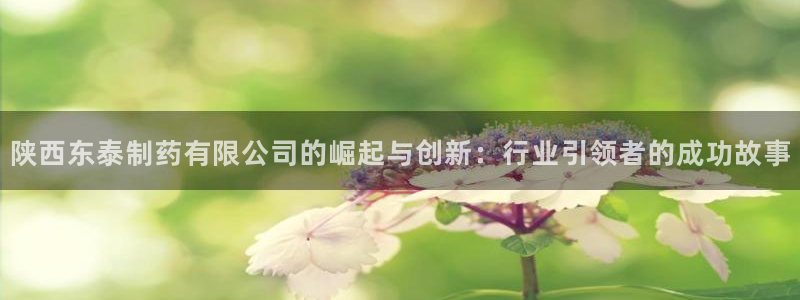 老哥吧九游会：陕西东泰制药有限公司的崛起与创新：行业引领者的成功故事