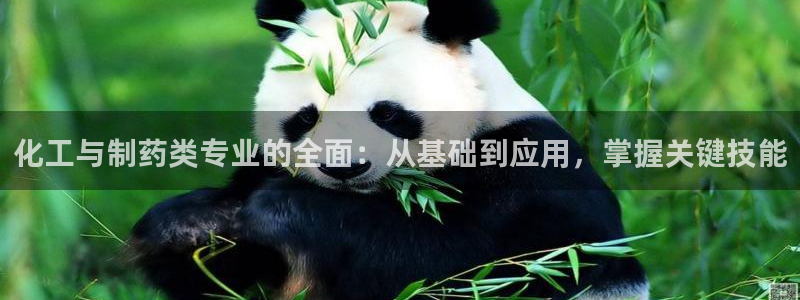 九游会老哥俱乐部：化工与制药类专业的全面：从基础到应用，掌握关键技能
