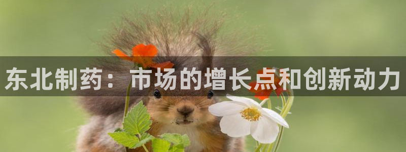 九游老哥俱乐部登录：东北制药：市场的增长点和创新动力