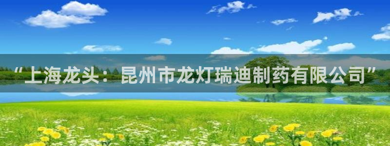 九游会老哥俱乐部官网首页：“上海龙头：昆州市龙灯瑞迪制药有限