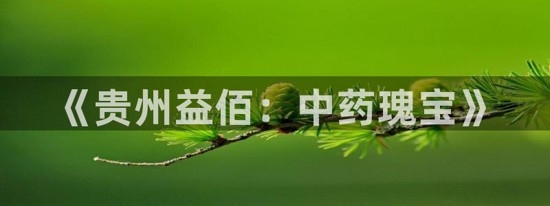 九游老哥俱乐部官网登录入口：《贵州益佰：中药瑰宝》