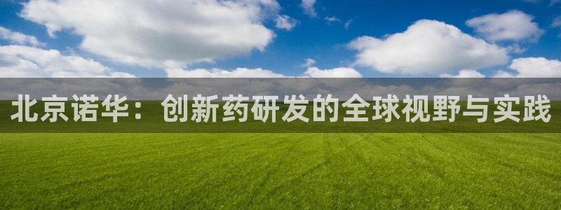 9游会老哥俱乐部：北京诺华：创新药研发的全球视野与实践