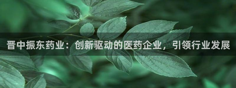 老哥俱乐部是干什么的：晋中振东药业：创新驱动的医药企业，引领