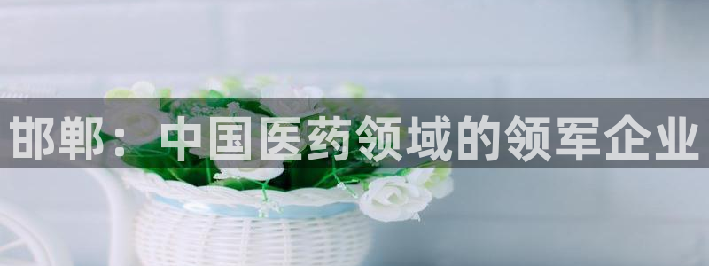 九游会老哥：邯郸：中国医药领域的领军企业