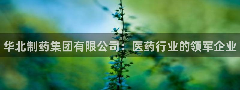 ag九游会老哥：华北制药集团有限公司：医药行业的领军企业