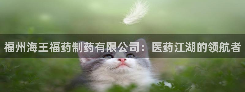 ag九游会老哥俱乐部：福州海王福药制药有限公司：医药江湖的领航者