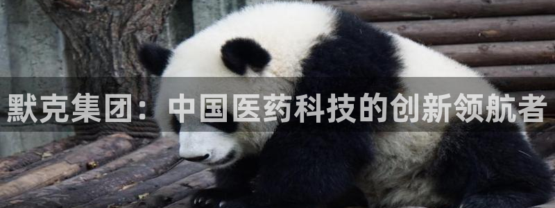九游会老哥必备的交流社区：默克集团：中国医药科技的创新领航者