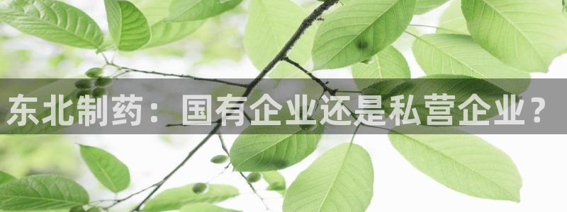 九游会老哥俱乐部交流社区：东北制药：国有企业还是私营企业？