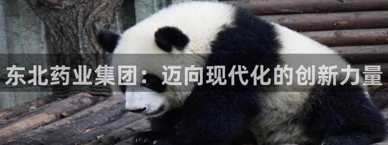 九游会老哥俱乐部官网首页论坛：东北药业集团：迈向现代化的创新